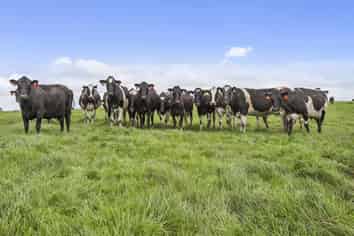 760 Whitikahu Road, Whitikahu