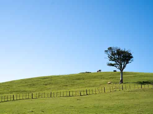 82 Kara Road, Maungatapere