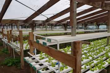 10 Smeaton Road, Glenbrook