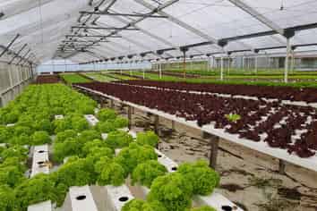 10 Smeaton Road, Glenbrook