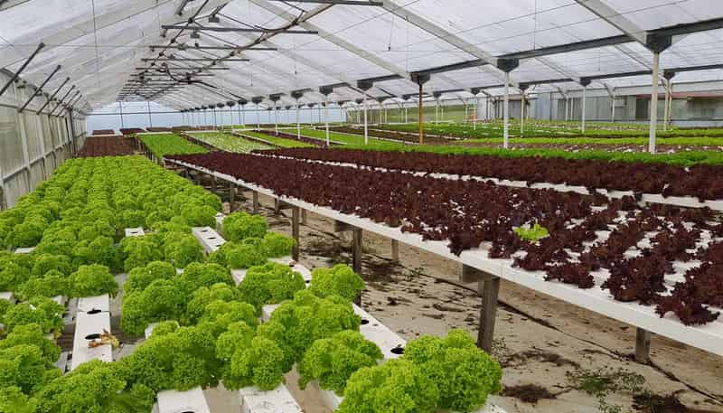 10 Smeaton Road, Glenbrook