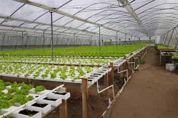 10 Smeaton Road, Glenbrook