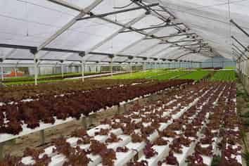 10 Smeaton Road, Glenbrook