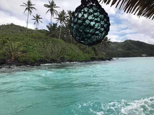 0a Rarotonga, Palmerston North Central