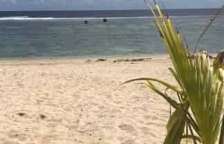 0a Rarotonga, Palmerston North Central