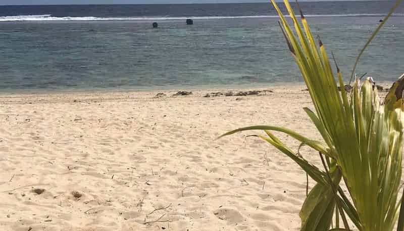 0a Rarotonga, Palmerston North Central