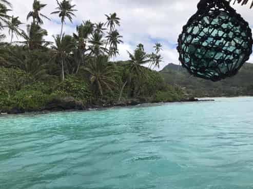  Rarotonga, Palmerston North Central