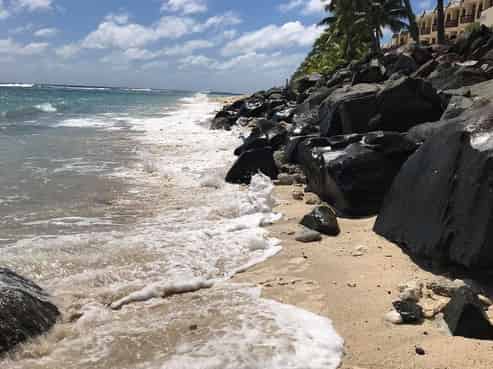  Rarotonga, Palmerston North Central