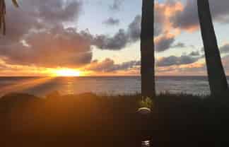  Rarotonga, Palmerston North Central