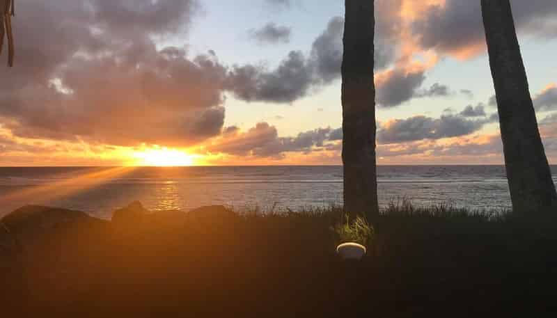  Rarotonga, Palmerston North Central