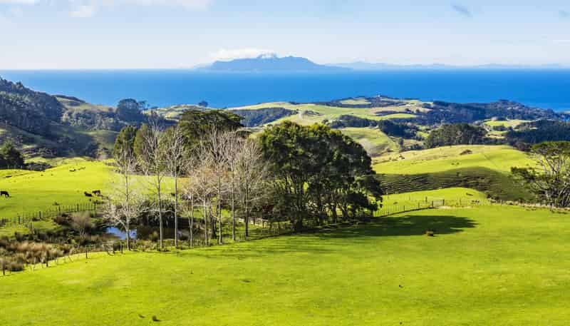 Lot 2 Rodney Road, Whangateau, Leigh
