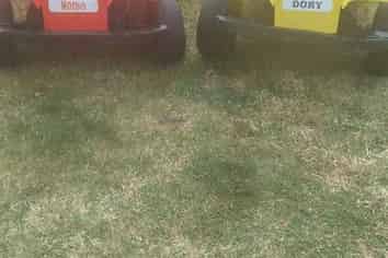 Business - Mini  Jeeps