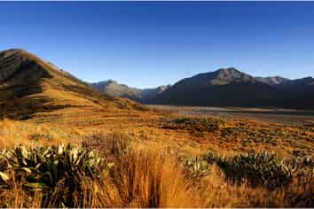 3916 Manuka Point Station, Rakaia