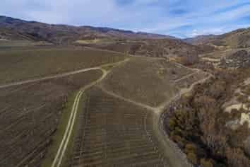 1 Cairnmuir Road, Bannockburn