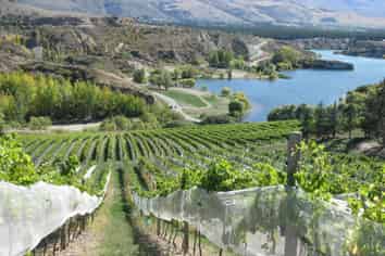 1 Cairnmuir Road, Bannockburn