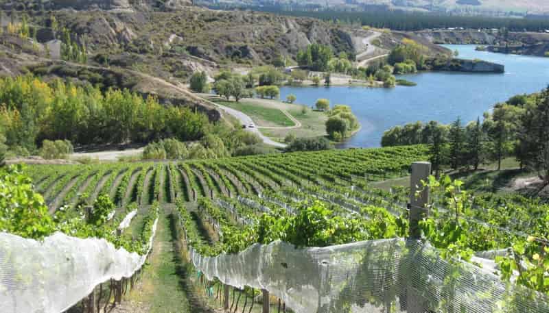 1 Cairnmuir Road, Bannockburn