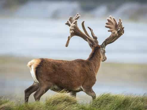 3916 Double Hill Run Road, Methven