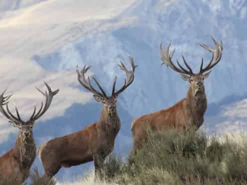 3916 Double Hill Run Road, Methven