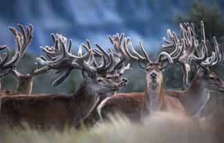 3916 Double Hill Run Road, Methven