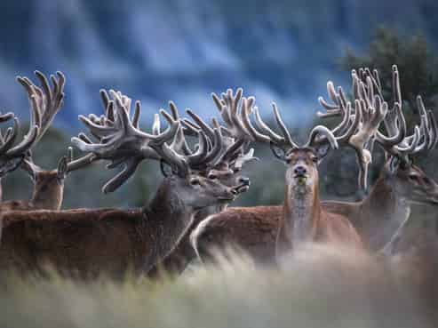 3916 Double Hill Run Road, Methven