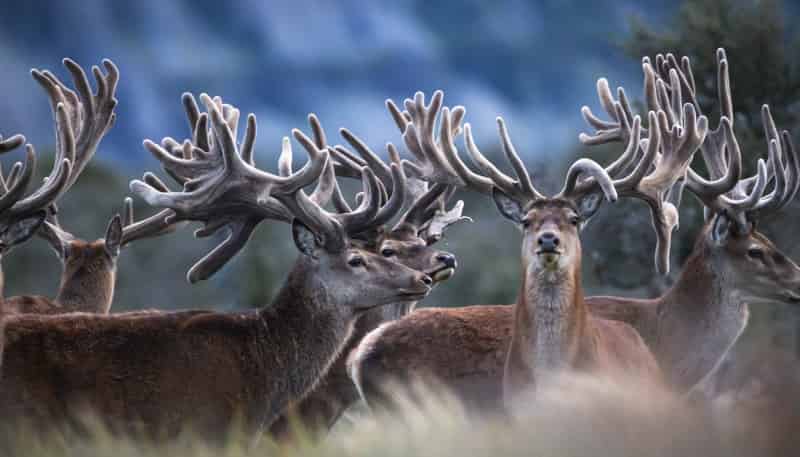 3916 Double Hill Run Road, Methven