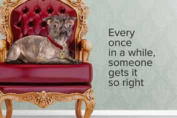 Giggle Entertainment Network - Home Based