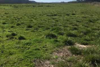 . Green Road, Parakai