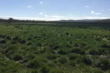 . Green Road, Parakai