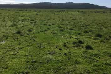 . Green Road, Parakai