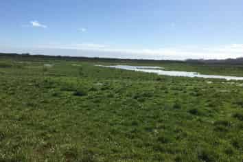 . Green Road, Parakai