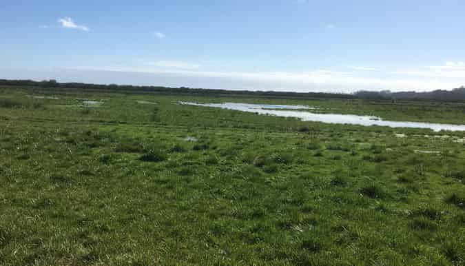 . Green Road, Parakai