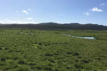 . Green Road, Parakai