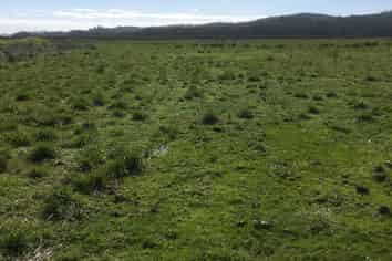 . Green Road, Parakai