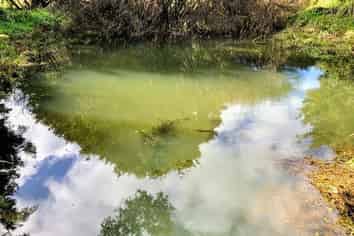 48 Mick Dillon Road, Makarau