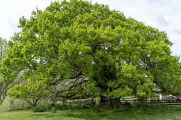 52 North Road, Clevedon