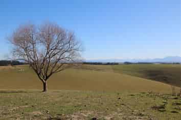 632 Rolling Ridges Road, Levels