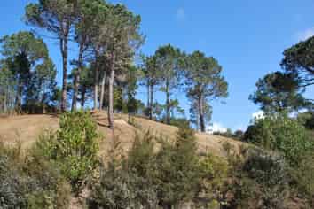 Lot 243 Lynton Masters Lane, Coatesville