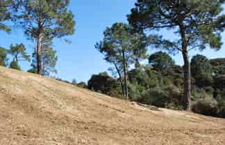 Lot 243 Lynton Masters Lane, Coatesville