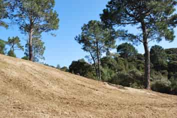 Lot 243 Lynton Masters Lane, Coatesville