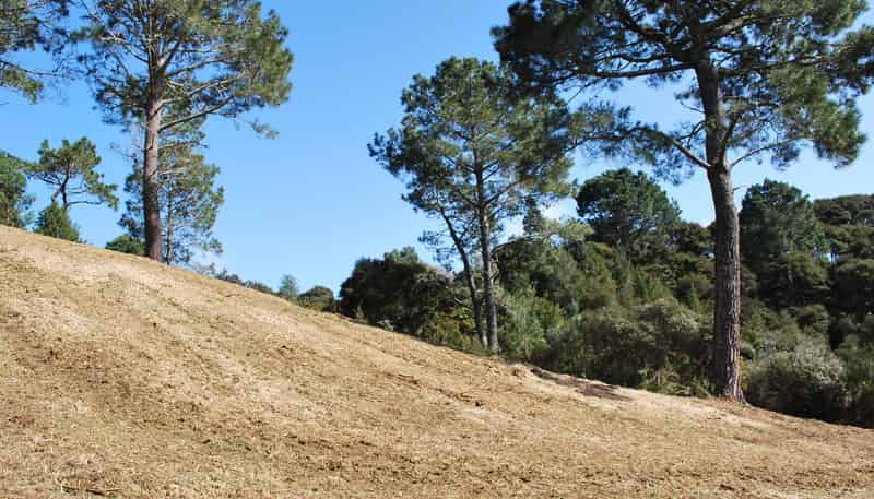 Lot 243 Lynton Masters Lane, Coatesville