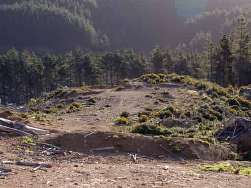 669 Paekakariki Hill Road, Pauatahanui