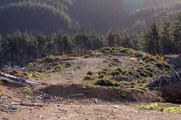 669 (Lot 8 Paekakariki Hill Road, Pauatahanui