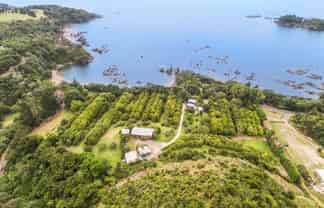 8460 State Highway 35, Whanarua Bay, 