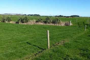 1162 Auroa Road, Manaia