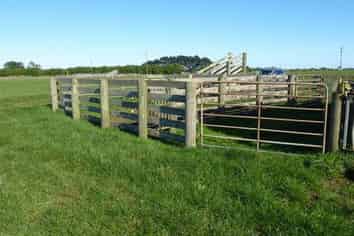 1162 Auroa Road, Manaia