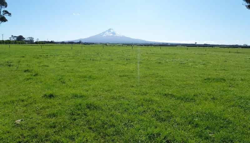 1162 Auroa Road, Manaia