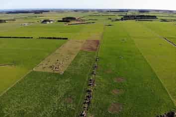 1162 Auroa Road, Manaia