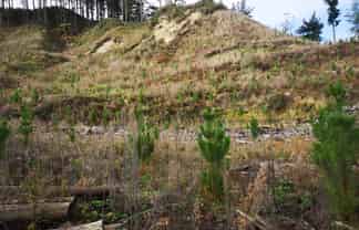 1 Ongarue -Waimiha Road, Taumarunui