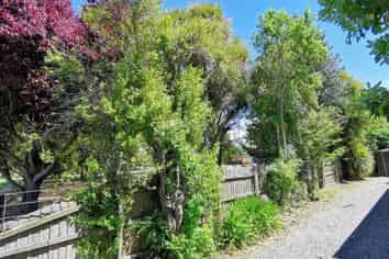 120 Peverel Street, Riccarton