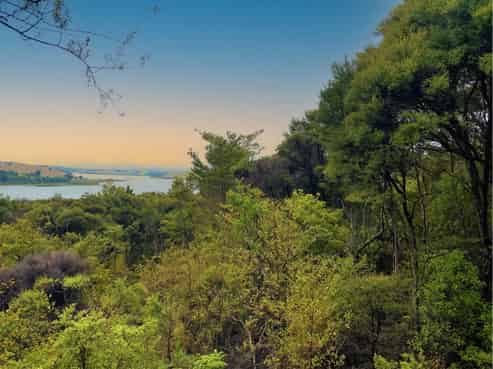 Lot 2, 239 Rangiora Road, Kaiwaka